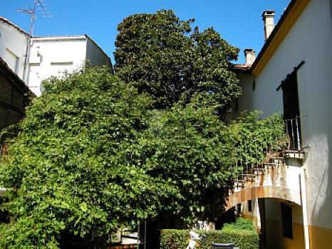 Chalet/casa adosado en venta en JERTE, Jerte, Cáceres