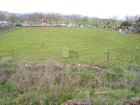 Rústico en venta en Zafra, Zafra, Badajoz