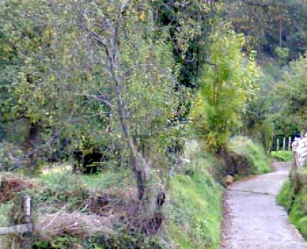 Urbanizable en venta en Siero, Siero, Asturias