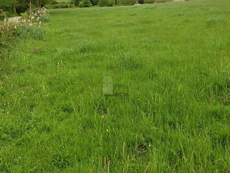 Urbanizable en venta en Siero, Siero, Asturias