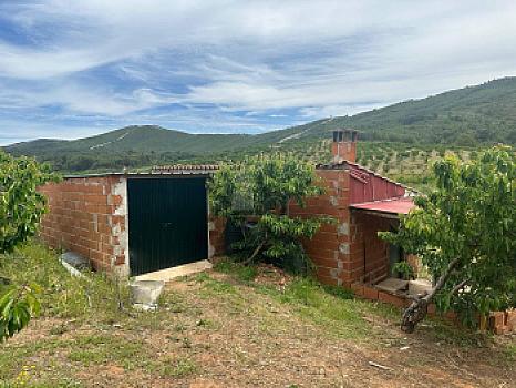 Casa rústica/finca rústica en venta en Ctra Torrecilla a Pinofranqueado, Torrecilla de los Angeles, Cáceres
