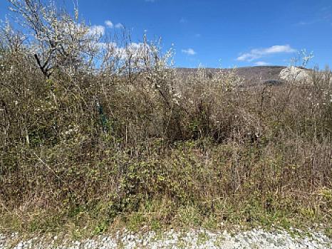 Rústico en venta en Areatsueta, Olazagutía, Navarra