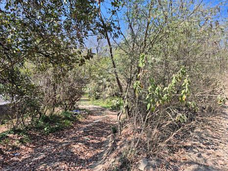 Terreno en Venta San Francisco, Santiago Nuevo Leon