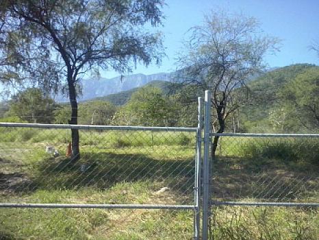 TERRENO EN VENTA LOS CRISTALES, CARR NACIONAL MONTERREY NL $21,000,000