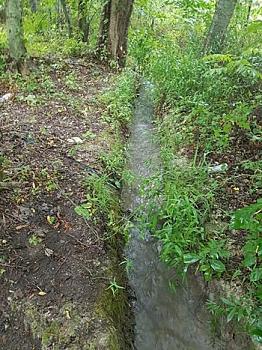 Terreno en Venta en Montemorelos