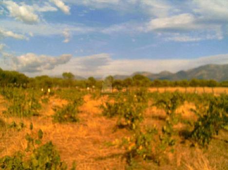 Rústico en venta en zarza de granadilla, Zarza de Granadilla, Cáceres