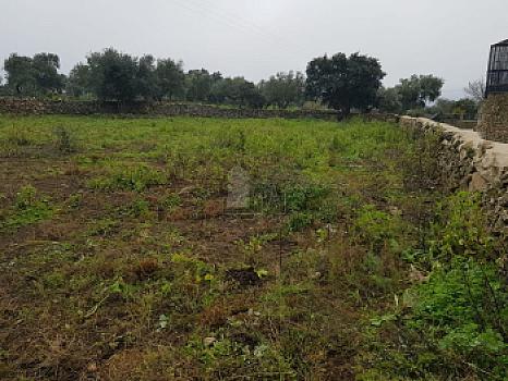 Urbano en venta en OLIVA DE PLASENCIA, Oliva de Plasencia, Cáceres