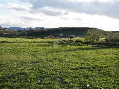 Rústico en venta en Ongayo, Suances, Cantabria