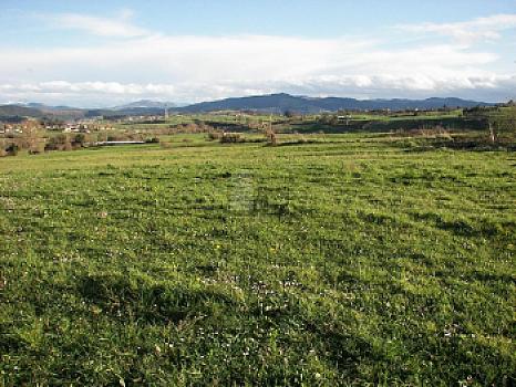 Rústico en venta en Ongayo, Suances, Cantabria