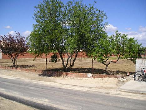 Urbanizable en venta en SANTA OLALLA, Santa Olalla, Toledo