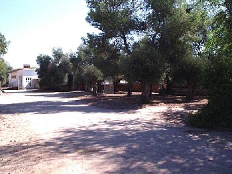 Urbanizable en venta en La Poveda, Arganda del Rey, Madrid