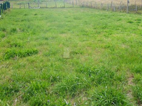 Urbanizable en venta en Siero, Siero, Asturias