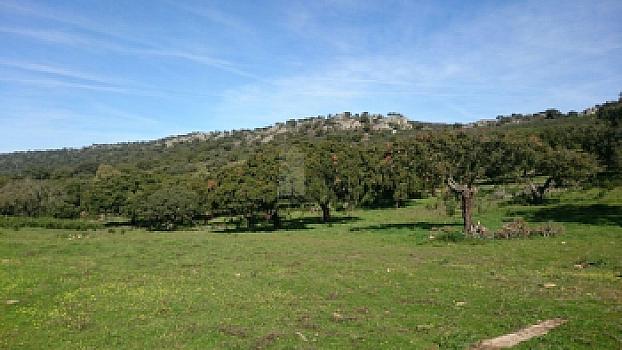 Rústico en venta en SAN VICENTE DE ALCANTARA, Salorino, Cáceres