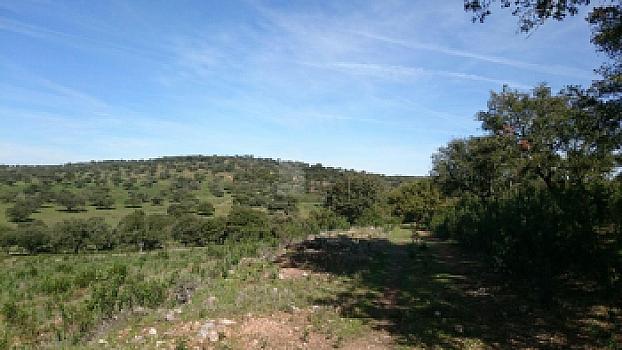Rústico en venta en SAN VICENTE DE ALCANTARA, Salorino, Cáceres