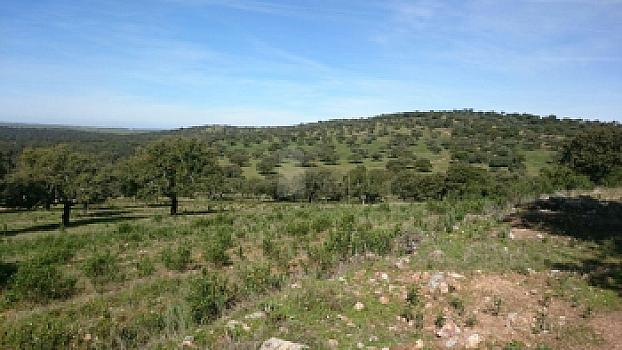 Rústico en venta en SAN VICENTE DE ALCANTARA, Salorino, Cáceres