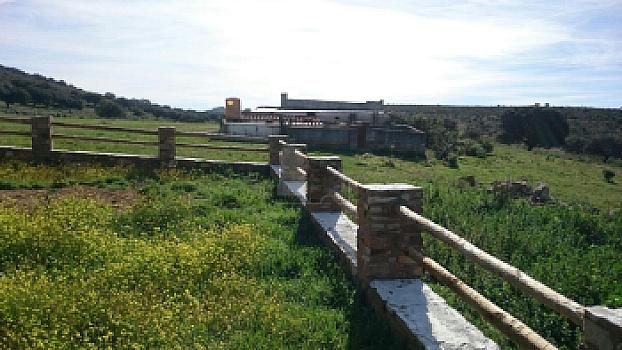 Rústico en venta en SAN VICENTE DE ALCANTARA, Salorino, Cáceres