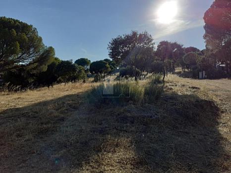 Rústico en venta en Urbanización Cuesta Vieja, Navas del Rey, Madrid