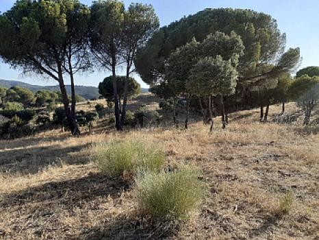 Rústico en venta en Urbanización Cuesta Vieja, Navas del Rey, Madrid