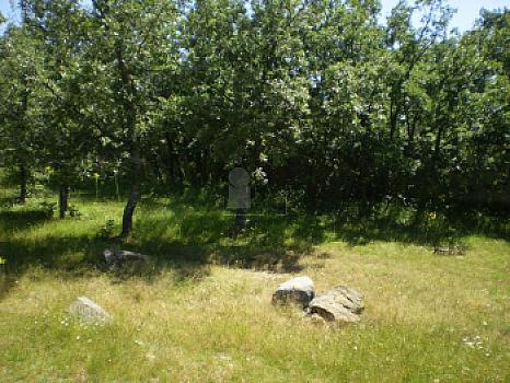 Urbanizable en venta en Pedrajas, Pedrajas, Soria