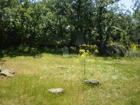 Urbanizable en venta en Pedrajas, Pedrajas, Soria