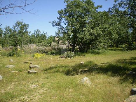Urbanizable en venta en Pedrajas, Pedrajas, Soria