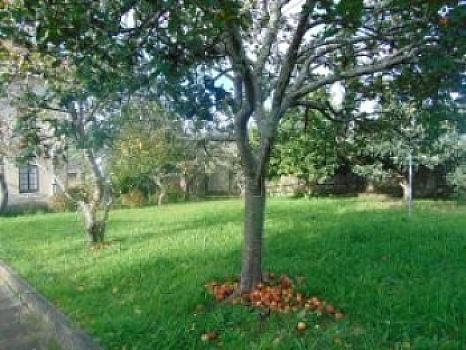 Chalet/casa independiente en venta en Mariña Lucense, Viveiro, Lugo