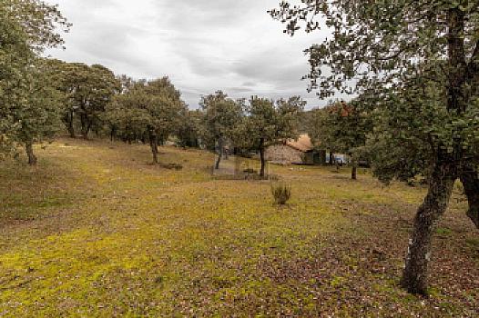 Chalet/casa independiente en venta en Coto de San Isidro, Ituero y Lama, Segovia