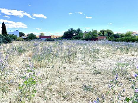 Urbanizable en venta en Escalona, Toledo