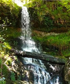 Rústico en venta en Cosio, Rionansa, Cantabria
