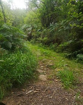 Rústico en venta en Cosio, Rionansa, Cantabria