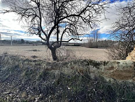 Rústico en venta en Subida al Monte de Palencia, Palencia, Palencia