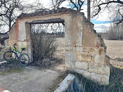 Rústico en venta en Subida al Monte de Palencia, Palencia, Palencia