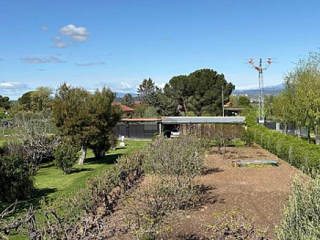 Casa rústica/finca rústica en venta en Fuente El Saz, Fuente el Saz de Jarama, Madrid