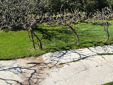 Casa rústica/finca rústica en venta en Fuente El Saz, Fuente el Saz de Jarama, Madrid