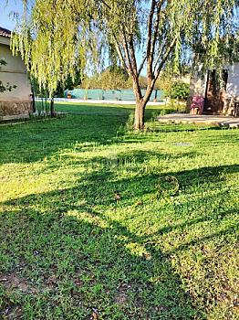 Chalet/casa independiente en venta en San Román de los Montes, Toledo