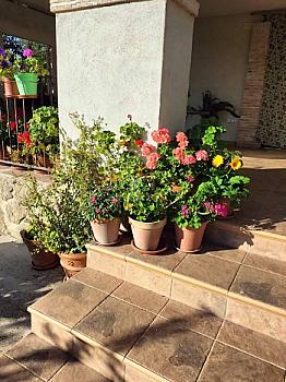 Chalet/casa independiente en venta en San Román de los Montes, Toledo