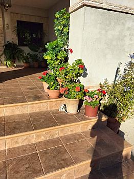 Chalet/casa independiente en venta en San Román de los Montes, Toledo