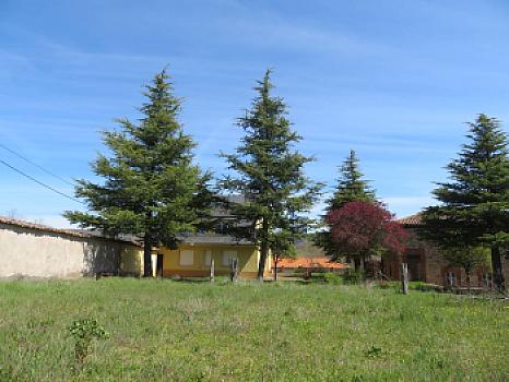 Urbano en venta en Campo y Santibáñez, León