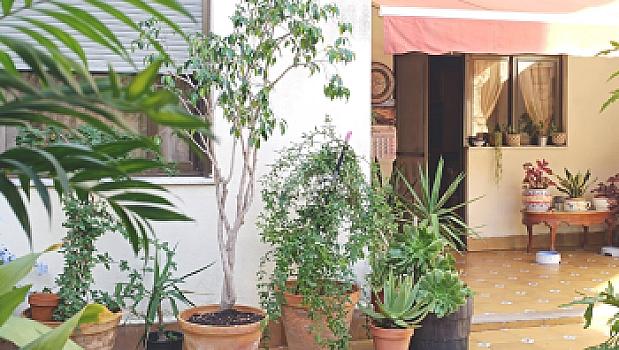 Chalet/casa adosado en venta en Riba-roja de Túria, Valencia