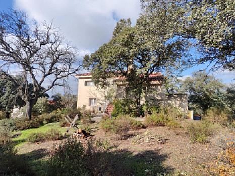 Chalet/casa independiente en venta en Sevilla la Nueva, Madrid